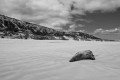 Travel photography sea lion